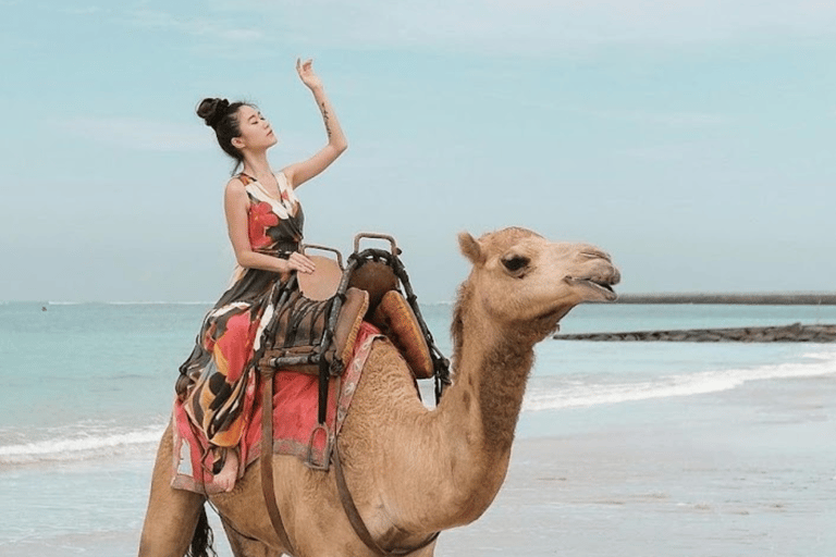 Bali: Kelan Beach Camel Rides Experiences30 Minutes Ride