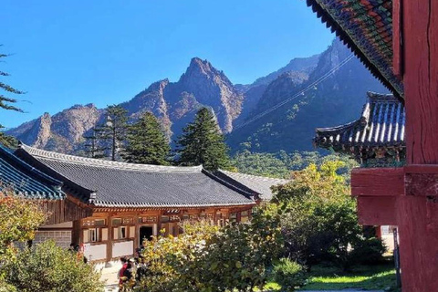 Seoul: Seoraksan & Nami island & Korean Garden Tour [Winter wonder] Seoraksan+Nami island+ Eobi Ice Valley