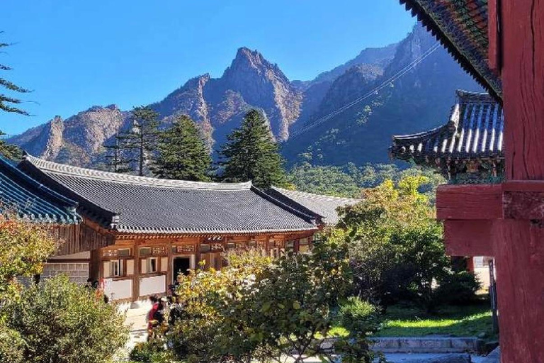 Seoul: Seoraksan & Nami island & Korean Garden Tour [Winter wonder] Seoraksan+Nami island+ Eobi Ice Valley