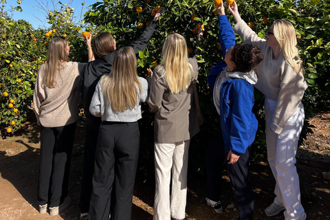 Huerto Ribera Tour with Vermouth Workshop and Tasting