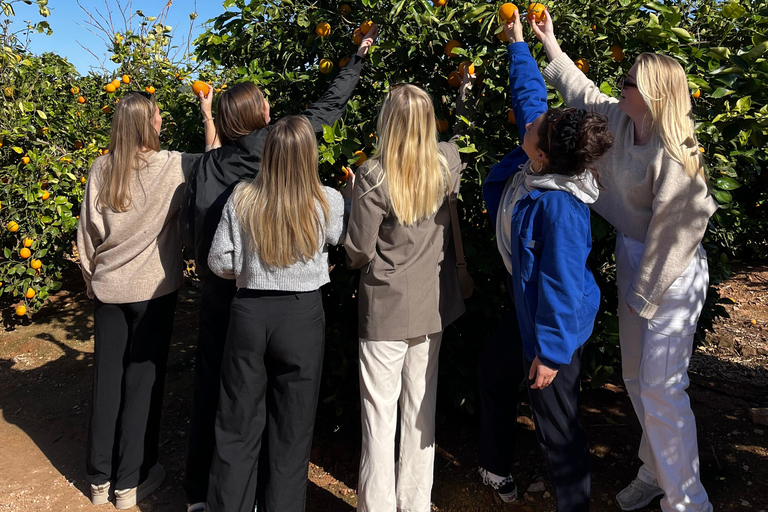 Huerto Ribera Tour with Vermouth Workshop and Tasting