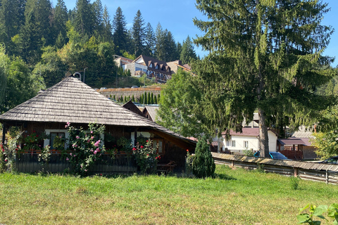 UNESCO Monasteries & Traditional Arts Day Tour from Iași