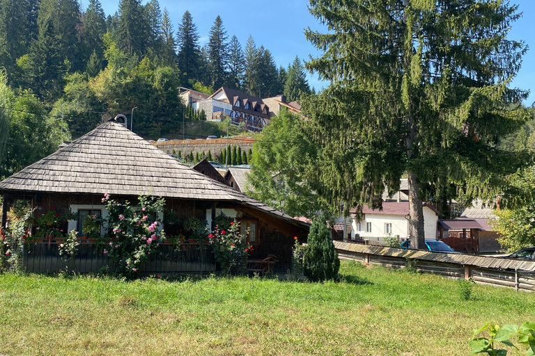 UNESCO Monasteries & Traditional Arts Day Tour from Iași