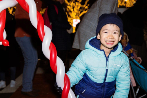 DC: Downtown Ultimate Holiday Walking Tour with Hot Cocoa