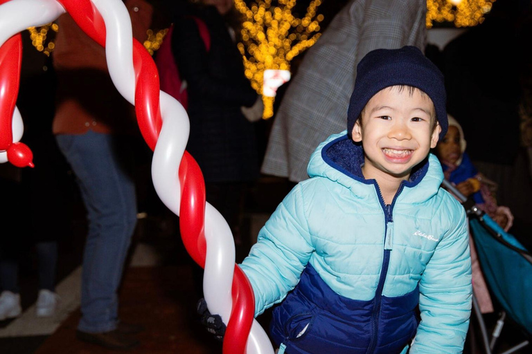 DC: Downtown Ultimate Holiday Walking Tour with Hot Cocoa