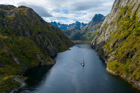 Lofoten Small Group Trollfjord Cruise on 33m Classic Yacht Trollfjord Cruise with Hot Tub