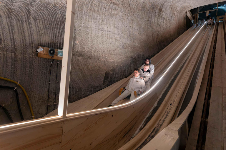 From Linz: Hallstatt Salt Mine & Skywalk Private Tour