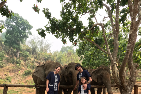 Programme de soins aux éléphants et chutes d&#039;eau collantes en vedetteJournée complète de soins aux éléphants et chute d&#039;eau collante (Programme B)