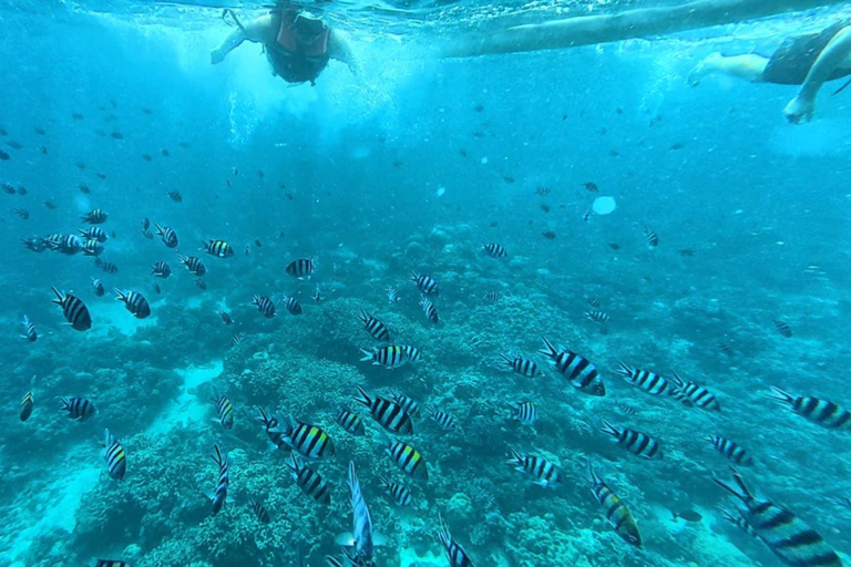 Mactan: Island Hopping Adventure with Snorkeling Mactan: Island Hopping Adventure with Snorkeling Group Tour