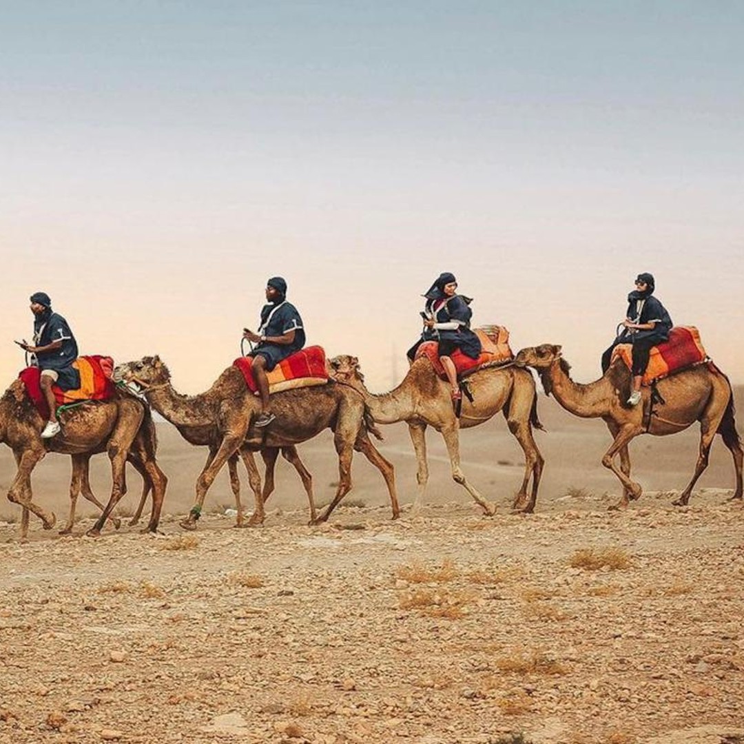 Marrakech : palmeraie Désert d'Agafay Quad, balade à dos de chameau - quad
