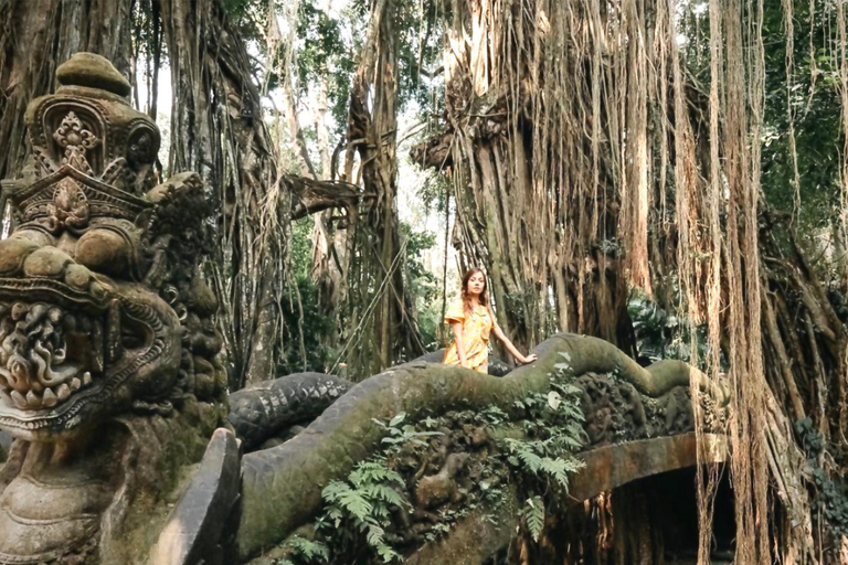 Ubud: tour della foresta delle scimmie, della cascata e delle terrazze di risoEsplorazione: Foresta delle scimmie, cascata e terrazza di riso
