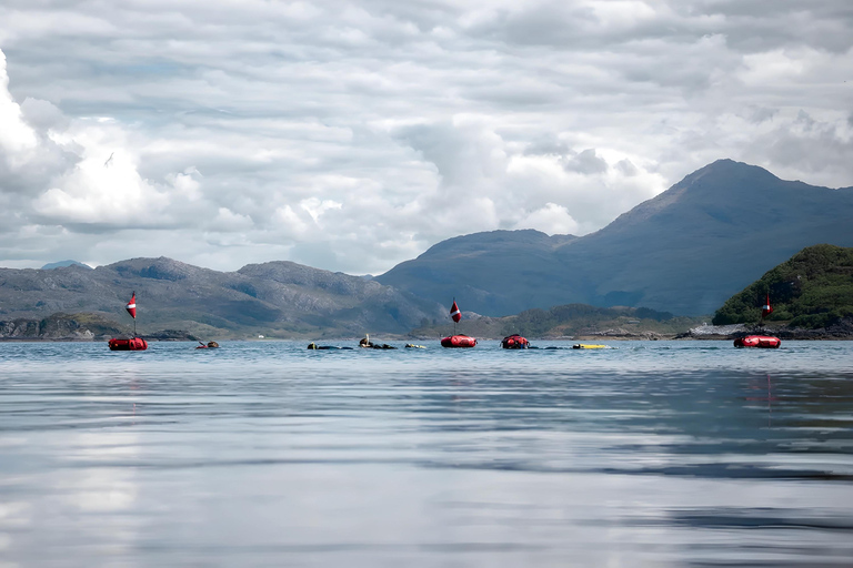Fort William: Seatrekking Day Trip