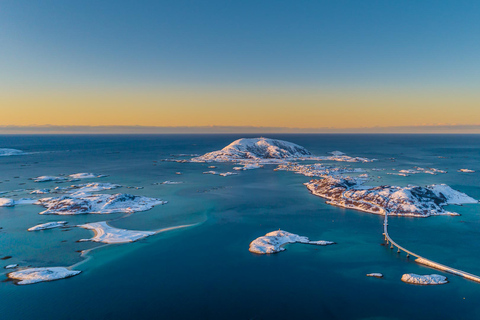 Da Tromsø: Tour panoramico dei fiordi e della fauna artica in auto