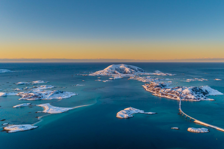 Von Tromsø aus: Arktische Tierwelt & Fjord-Sightseeing-Tour mit dem AutoVon Tromsø aus: Arktische Fjord- und Wildtier-Tour mit dem Auto