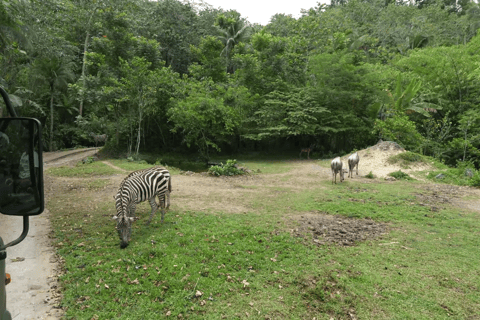 Cebu Safari: Experience Wildlife Up Close