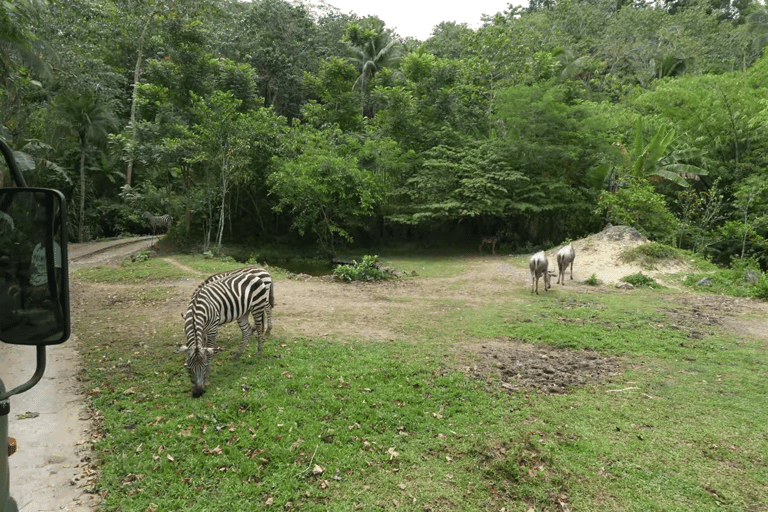 Cebu Safari: Experience Wildlife Up Close
