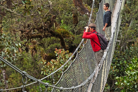From Cusco: 4-Day Manu Cloud Forest Birdwatching Tour