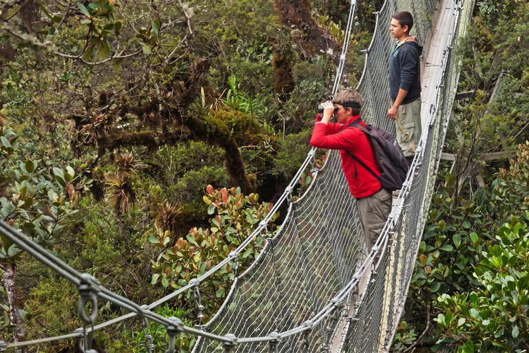 From Cusco: 4-Day Manu Cloud Forest Birdwatching Tour