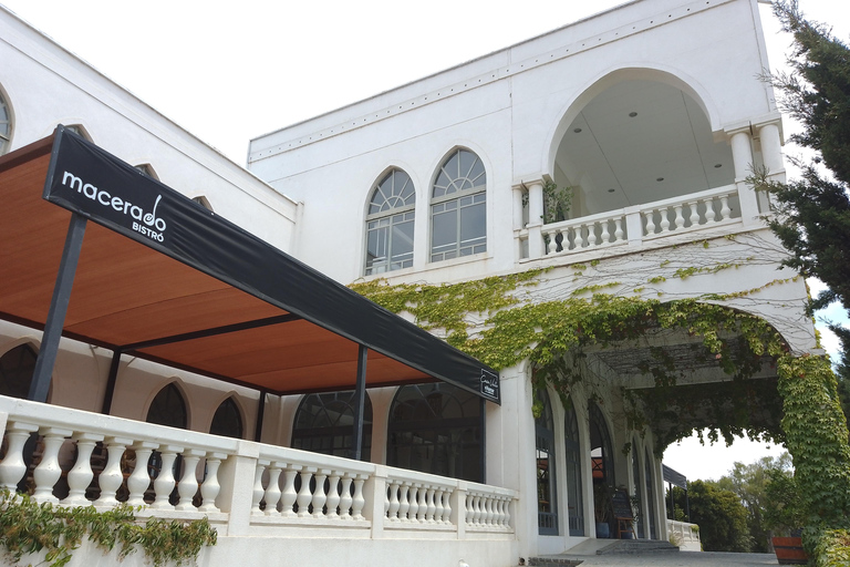 Wineries Tour in Casablanca Valley from Valparaiso Shared tour