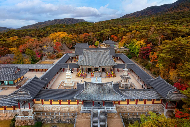 From Busan: Gyeongju Historical Day Tour with Sky CapsuleShared Tour - Meet at Seomyeon Station