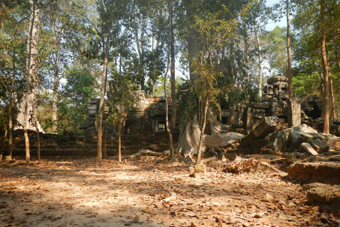 Indiana Jones: Guided Jungle Trails and Temples Bike Tour