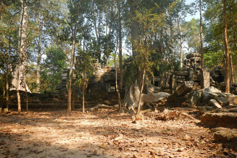Indiana Jones: Guided Jungle Trails and Temples Bike Tour