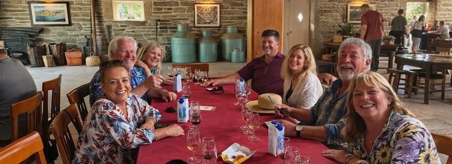 Pinhão : Vallée du Douro avec dégustation de vins, excursion en bateau et déjeuner