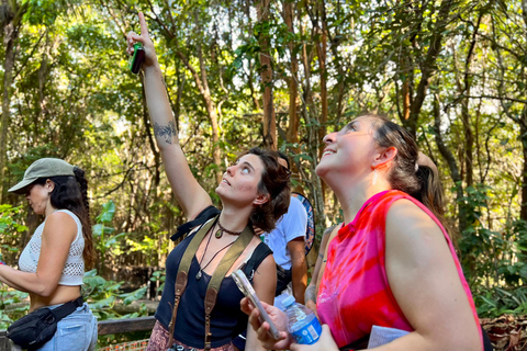Pipa, Brazil. 3-Day Eco-Retreat, Nature & Local Culture Immersion ticket