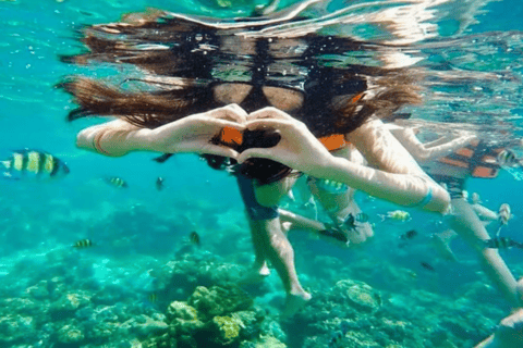 From Phi Phi: Morning/Afternoon Phi Phi Island Longtail Boat Half-Day Morning Phi Phi Island by Longtail Boat