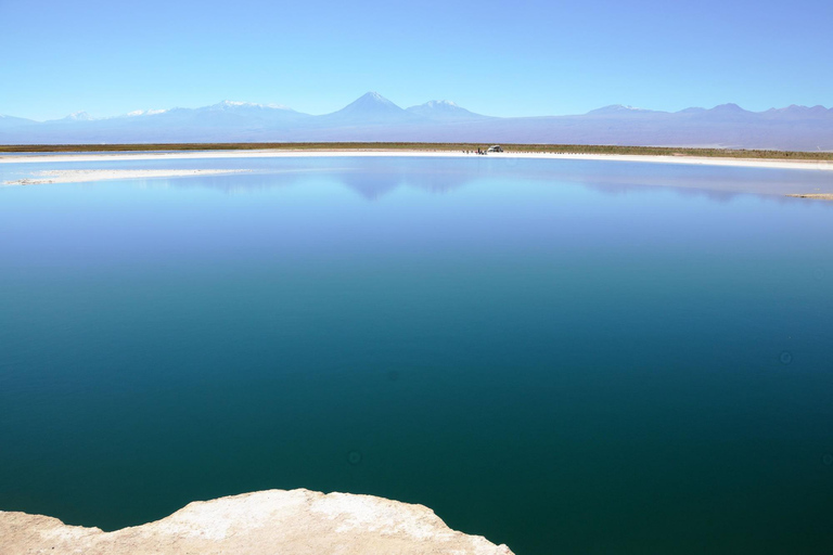 San Pedro de Atacama: Laguna Cejar Half-Day Guided Tour