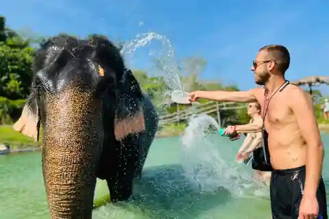 Phuket: Heldagsudflugt med elefanter på Phuket Elephant Care