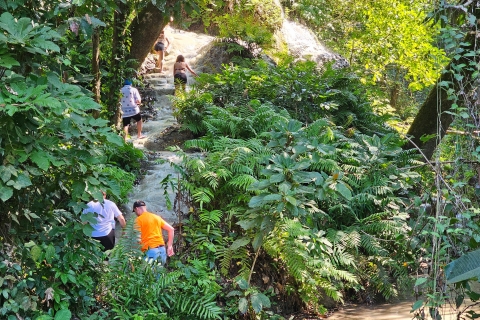 Chiang Mai: Sticky Waterfall Tour de medio día y traslados al hotel