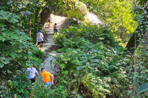 Chiang Mai: Półdniowa wycieczka nad wodospad Sticky Waterfall i transfer do hotelu