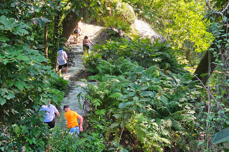 Chiang Mai: Sticky Waterfall Tour de medio día y traslados al hotel