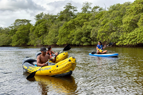 Fort Lauderdale: Kayak & Paddleboard Mangroves Eco Adventure
