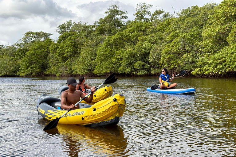 Fort Lauderdale: Kayak & Paddleboard Mangroves Eco Adventure