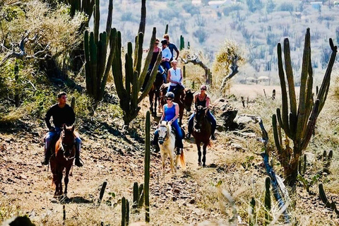 Aruba: Rancho Loco Natural Pool Horseback Tour thru Arikok Aruba: Rancho Loco Natural Pool Excursion