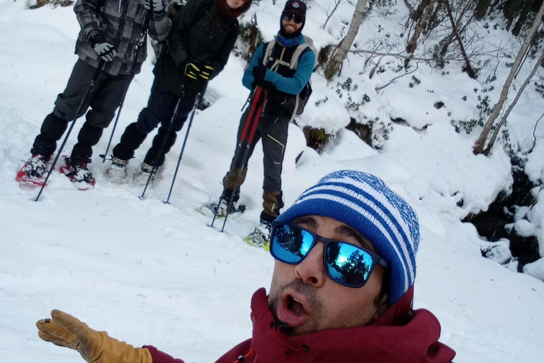 Pyrenees: Family Snowshoe Tour and Igloo Building