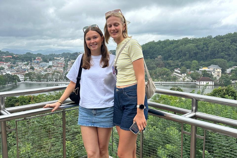 CMB/Negombo: Sigiriya, Kandy & Ella Private Tour with Driver Private Van with Driver – Up to 50 km