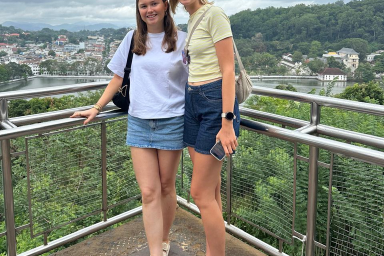 CMB/Negombo: Sigiriya, Kandy & Ella Private Tour with Driver Private Van with Driver – Up to 50 km