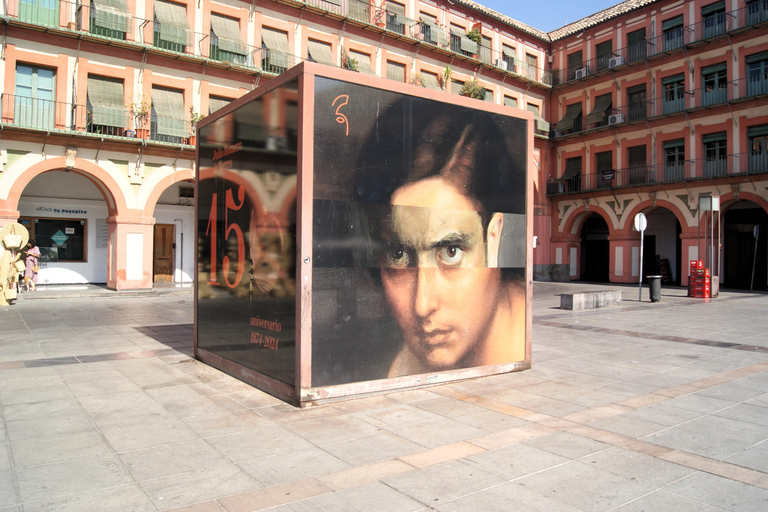 Córdoba Walking Tour: Experience the Passion of Flamenco