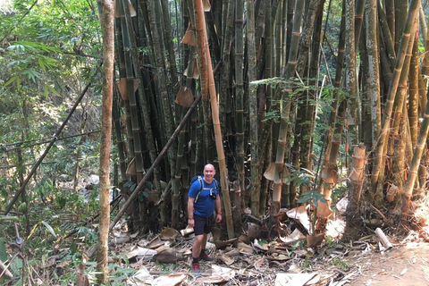 Chiang Rai Trek: 4 Hilltribes Villages & Waterfall Only Walk