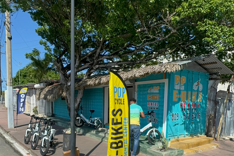 Puerto Plata: Aluguel de bicicletas elétricas E-BikeAluguel de um dia de Haft