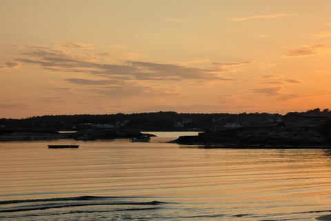 Private Walking Tour Gothenburg: Old Town & Åsa Coastline