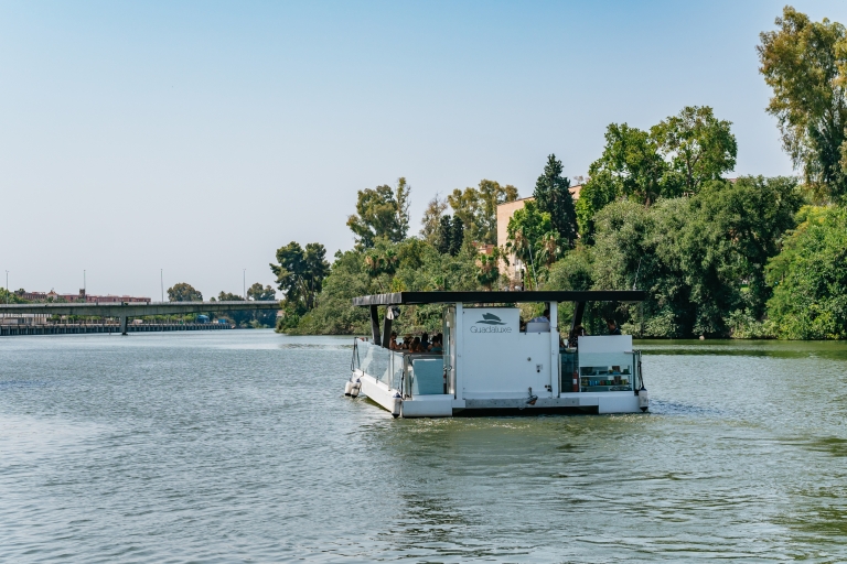 Seville: 1-Hour Guadalquivir River Sightseeing Eco Cruise Private Cruise – up to 50 people