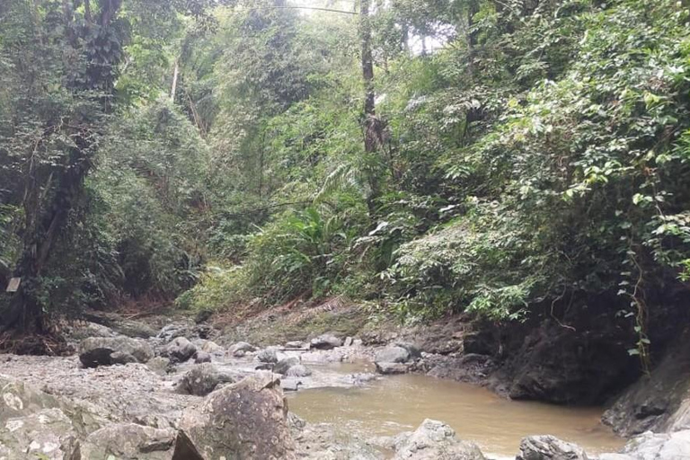 Tobago: Argyle Waterfall Tour with Hotel Pickup