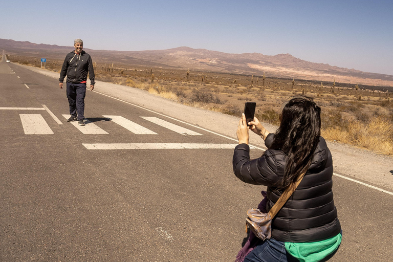 Cachi: Ruta Escénica y Experiencia Local desde Salta