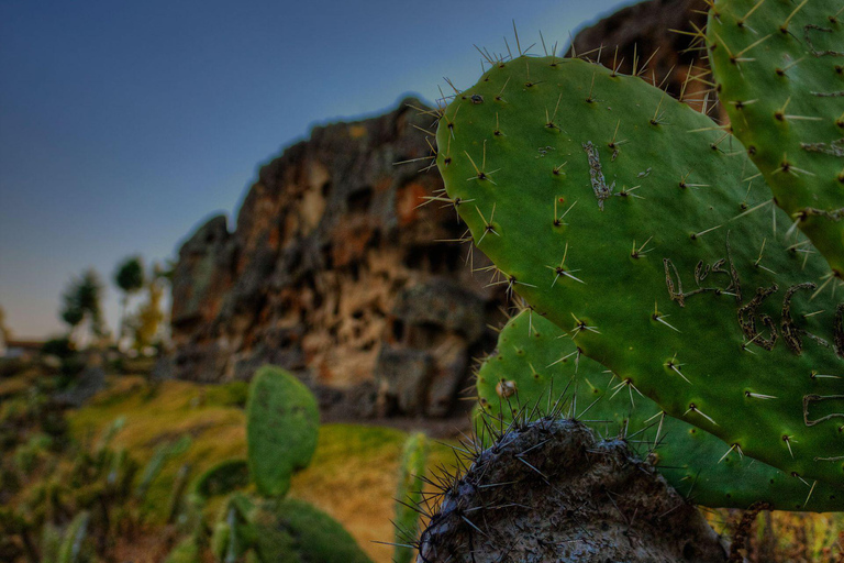 Excursão às Ventanillas de Otuzco + quinta três Molinos