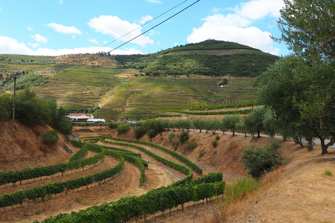From Porto: Small-Group Douro Valley Wine Tour Lunch & Boat