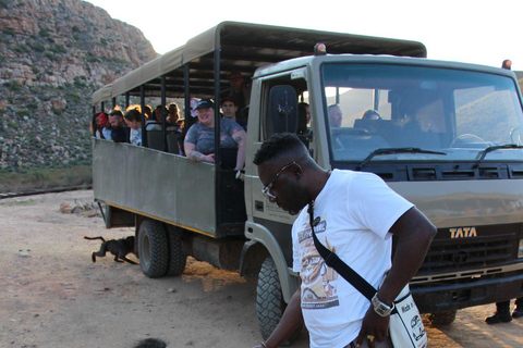 Cape Town Aquilla big sunset safari With transport & food aquila sunset bestseller